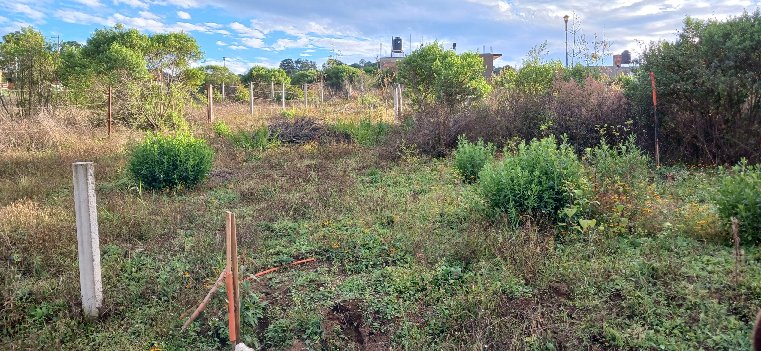 Terreno en venta en Mazamitla. Zona habitacional