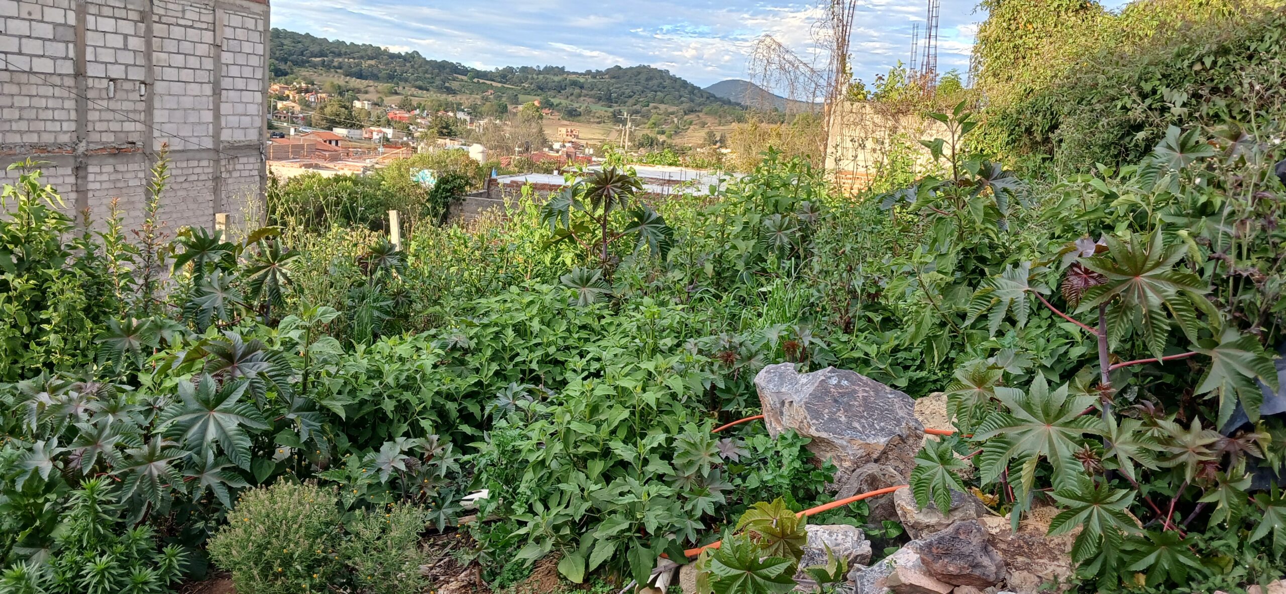 Terreno cerca de hospital en Mazamitla.